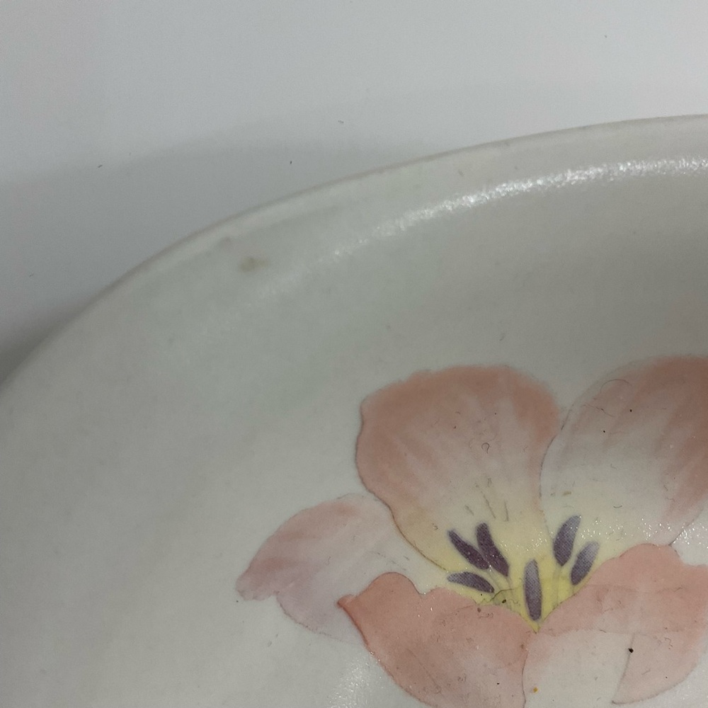 Mikasa Natural Beauty CT077 FootLoose Japan salad/cereal bowl set of 2 - Picture 6 of 6